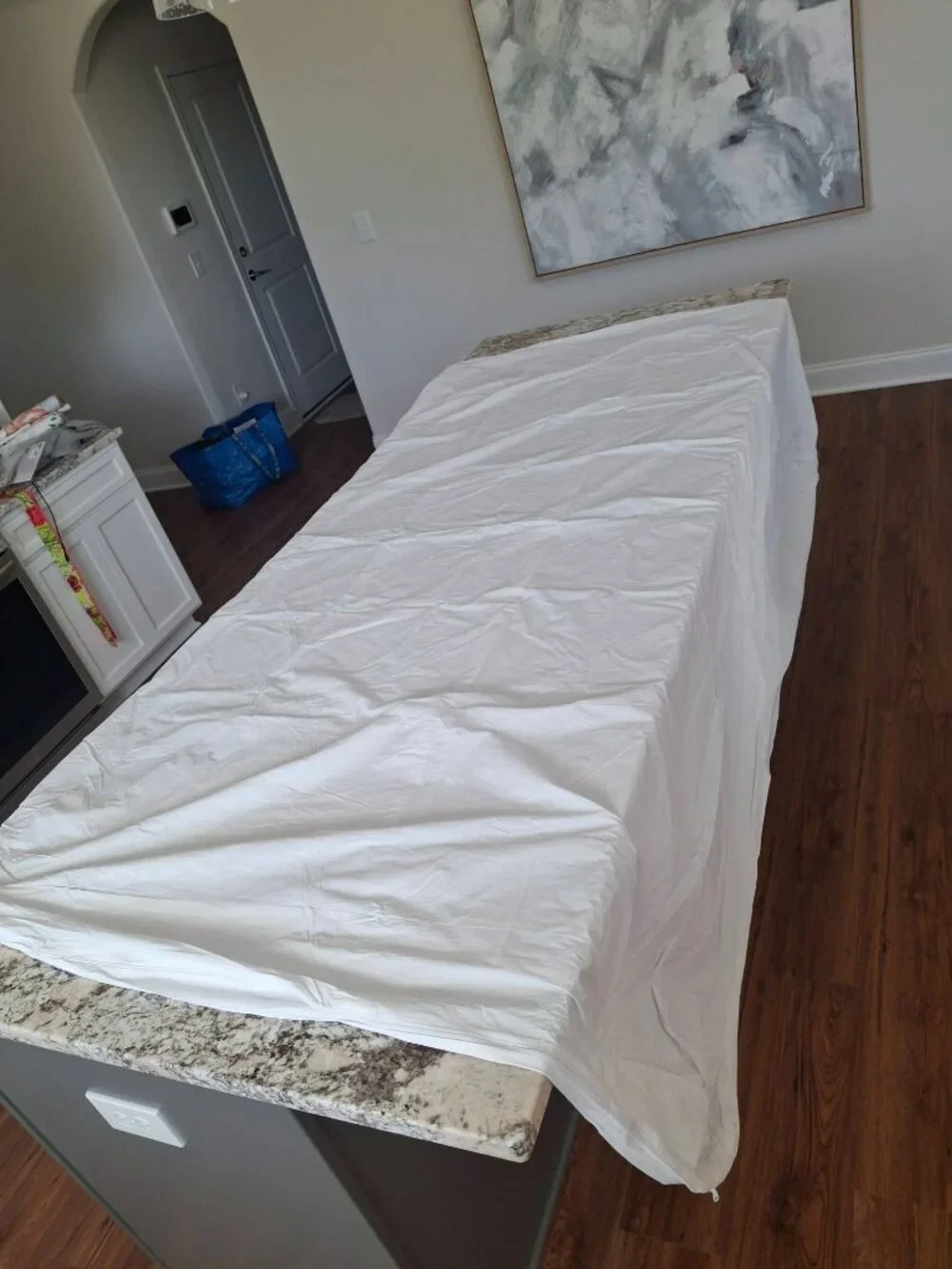 Better Home Queen Vinyl Mattress Cover Zippered Waterproof Bed Bug Dust Mite
